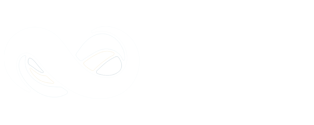 NetSuite